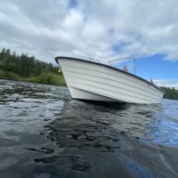 IMG_2807.max-1000x1000