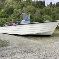 IMG_2861.max-1000x1000